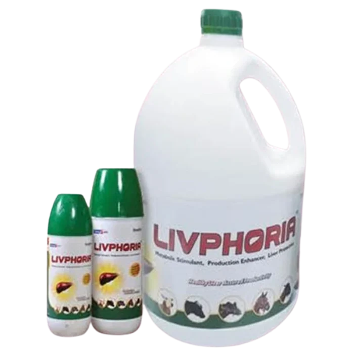 Livphoria LIQUID