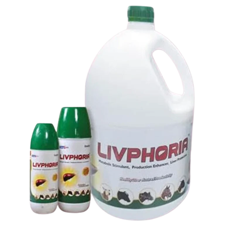 Livphoria LIQUID