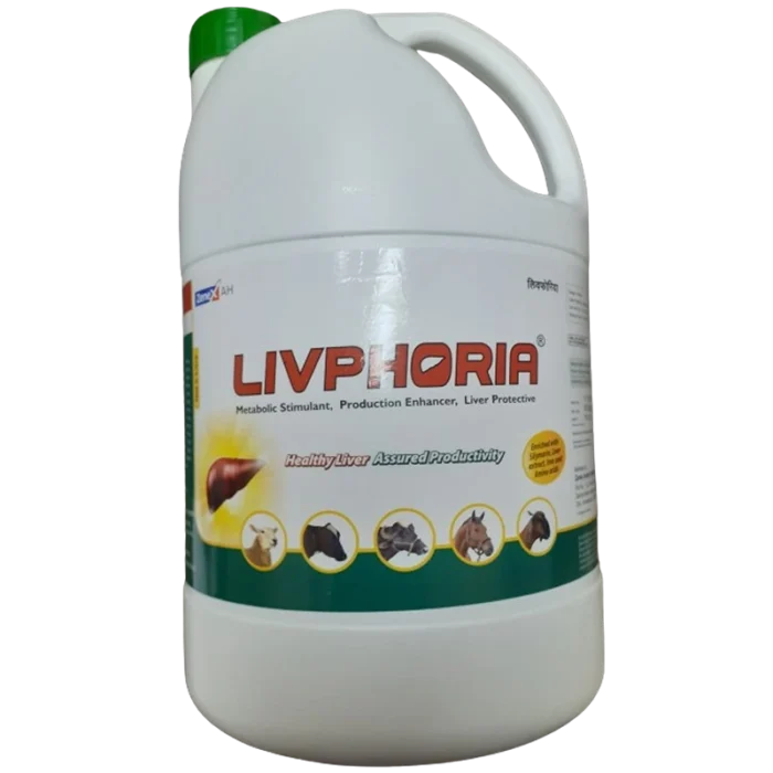 Livphoria LIQUID