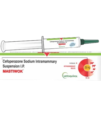 MASTIWOK