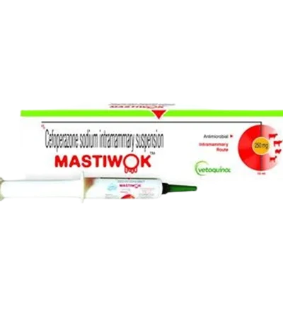 MASTIWOK