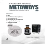 METAWAYS Injection
