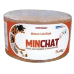 MINCHAT