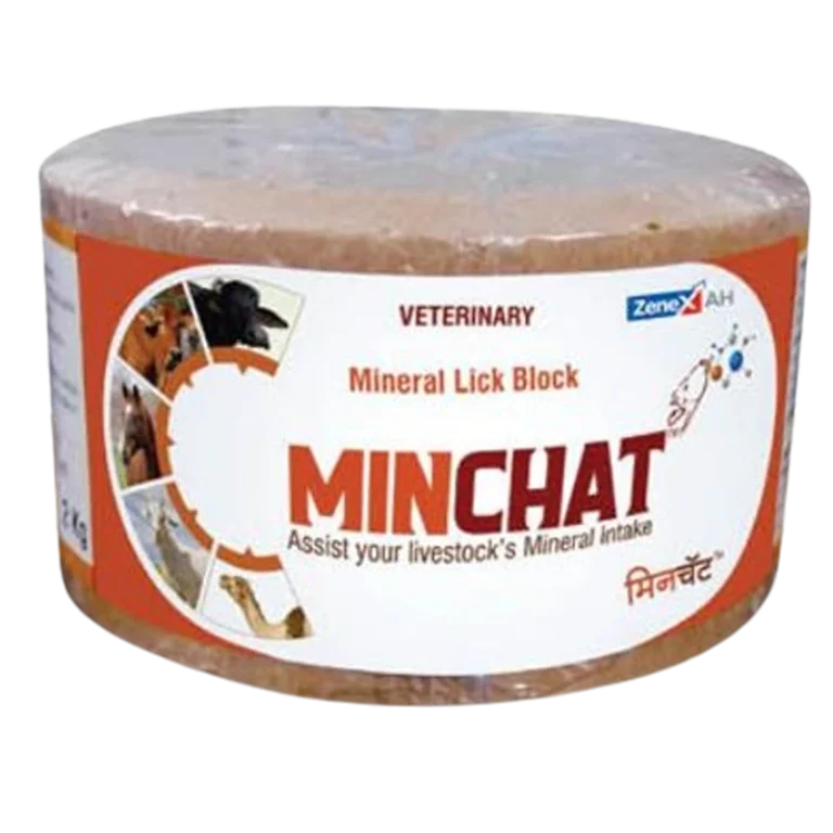 MINCHAT
