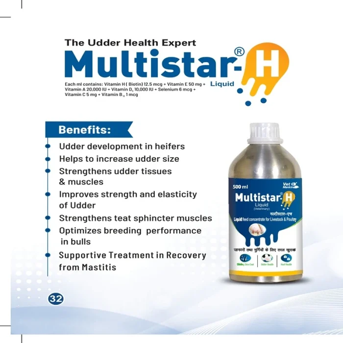 MULTISTAR H LIQUID