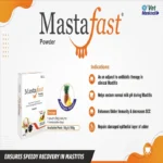 Mastafast