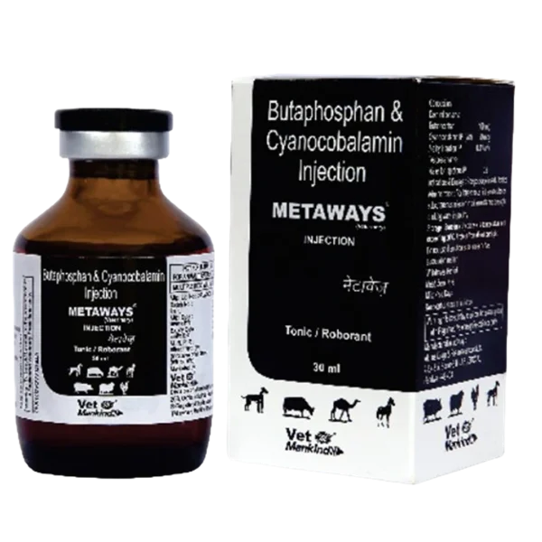METAWAYS Injection