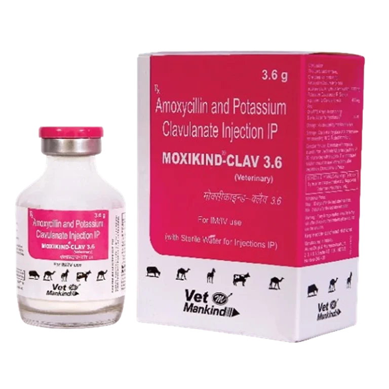 MOXIKIND-CLAV 3.6 INJECTION