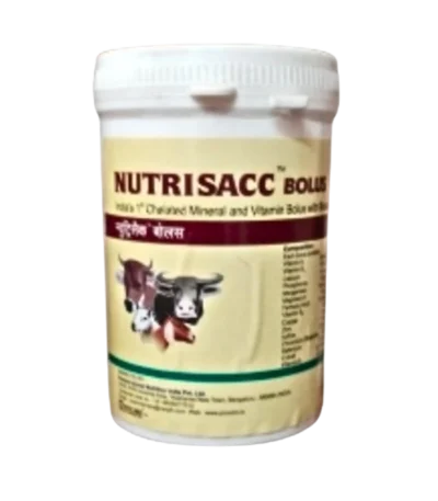 NUTRISACC BOLUS