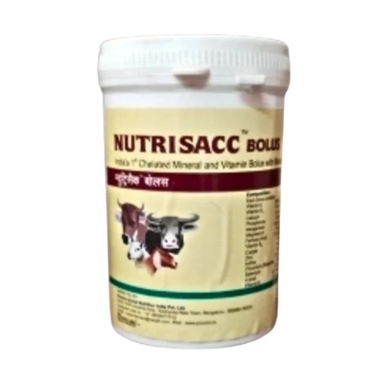NUTRISACC BOLUS