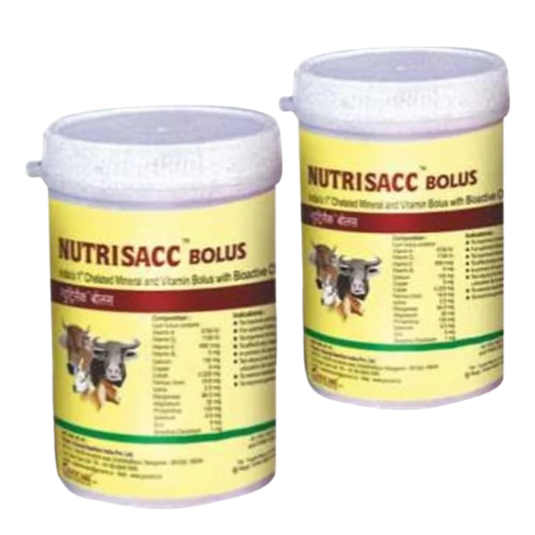 NUTRISACC BOLUS