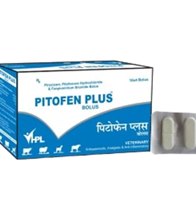 PITOFEN PLUS