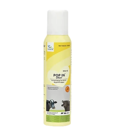 POP IN SPRAY