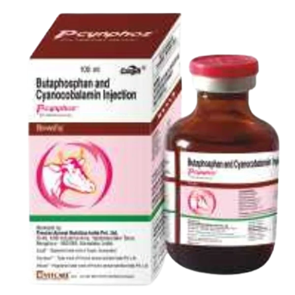 Pcynphoz Injection