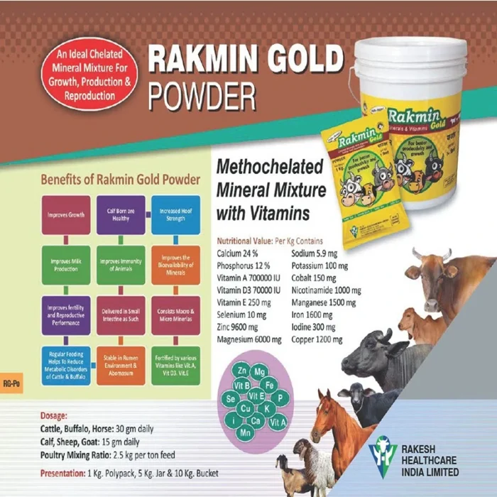 RAKMIN GOLD POWDER