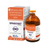 SPASOVET