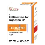 TECHZOME INJECTION