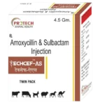 Techcef-AS Injection