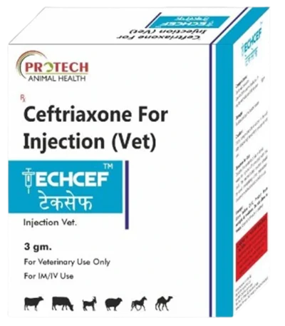 Techcef Injection