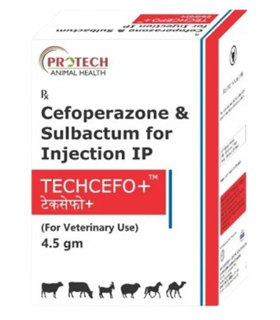 Techcefo+ (Plus) Injection