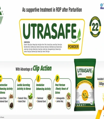 UTRASAFE POWDER