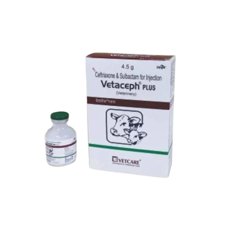 Vetaceph Plus Injection