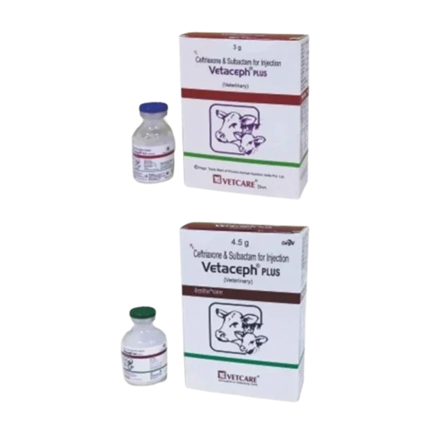 Vetaceph Plus Injection