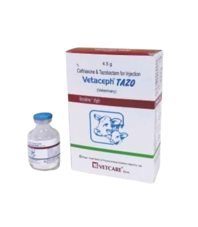 Vetaceph Tazo Injection