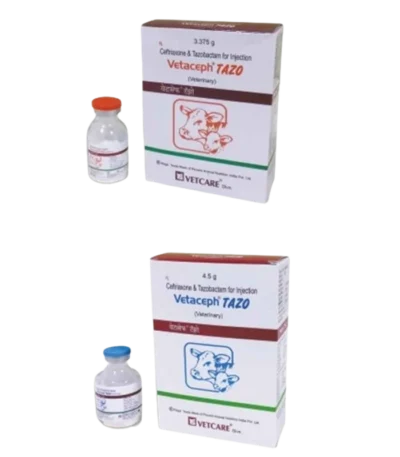 Vetaceph Tazo Injection