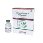 Vetaceph injection