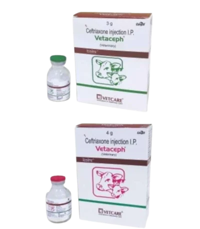 Vetaceph injection