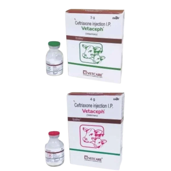 Vetaceph injection