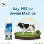 WISPREC ADVANCE SPRAY