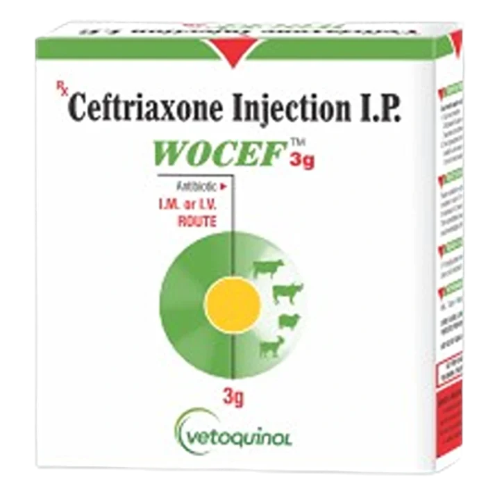 Wocef Injection