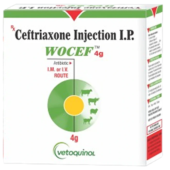 Wocef Injection