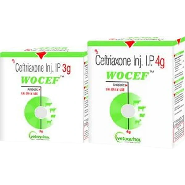 Wocef Injection
