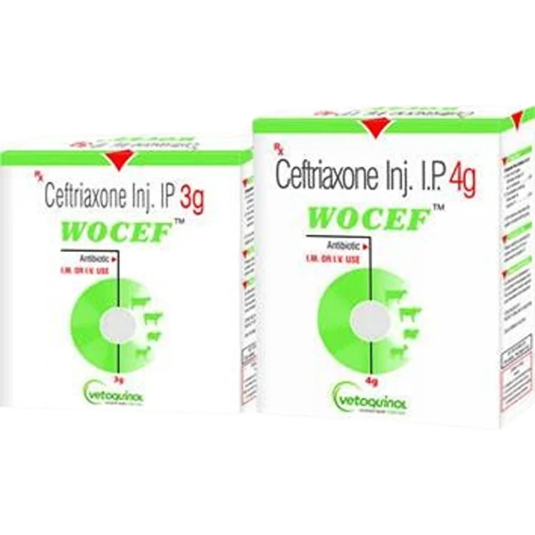 Wocef Injection