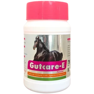 Gutcare-E Powder
