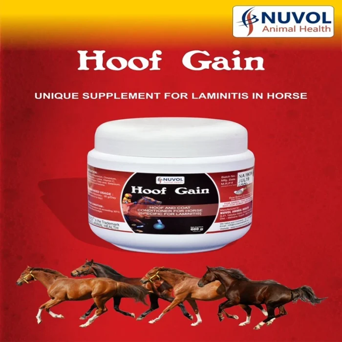 Hoof Gain Powder