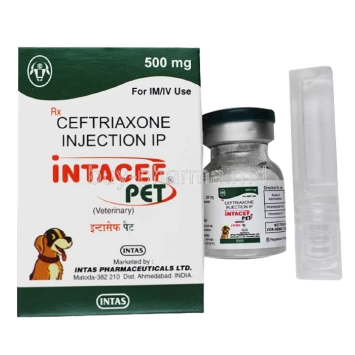 Intacef Pet