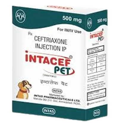 Intacef Pet