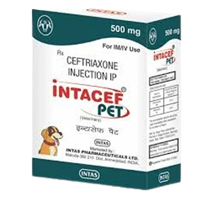 Intacef Pet