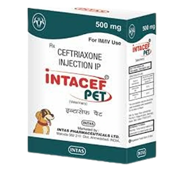 Intacef Pet