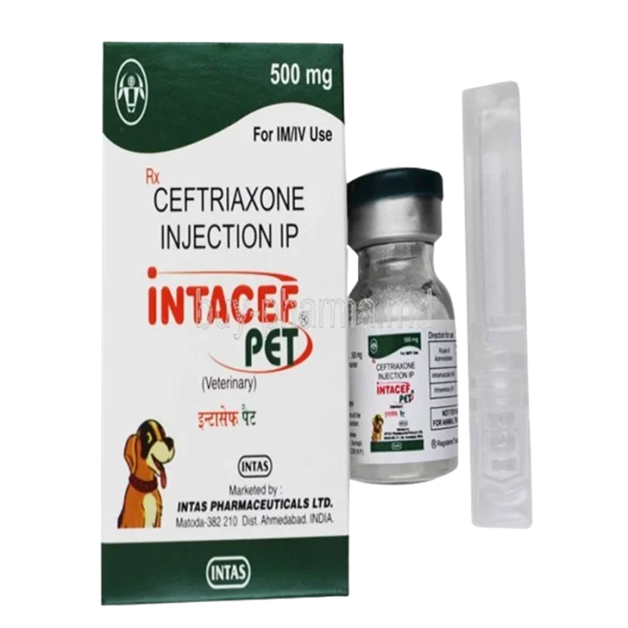 Intacef Pet