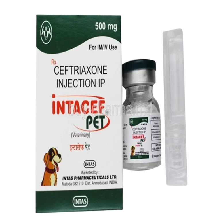 Intacef Pet