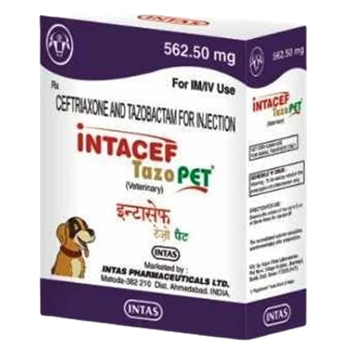 Intacef Tazo Pet