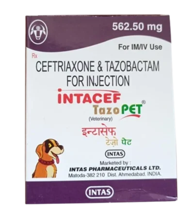Intacef Tazo Pet