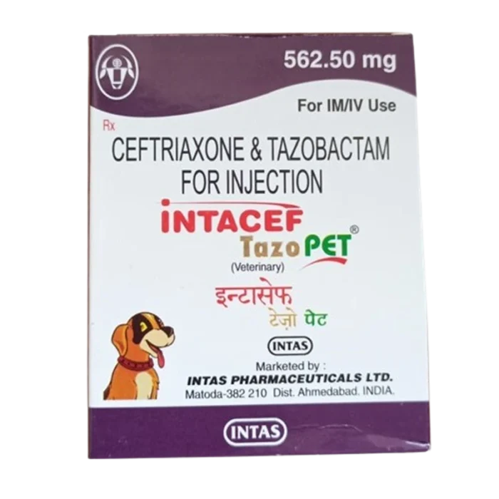 Intacef Tazo Pet