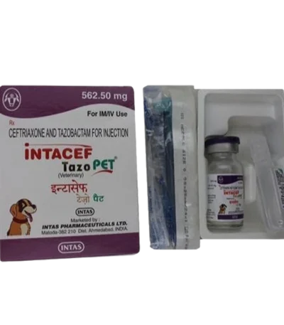 Intacef Tazo Pet