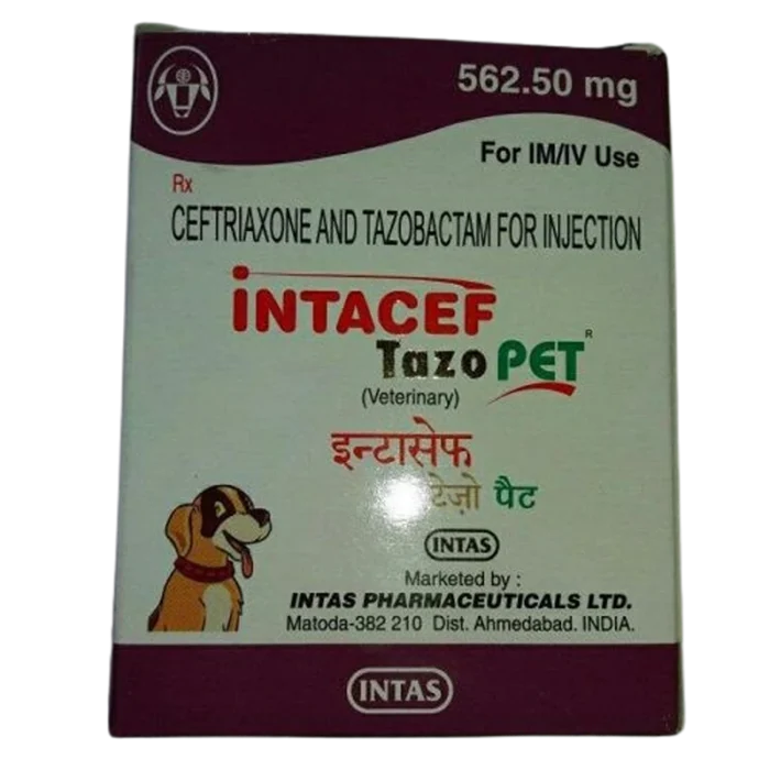 Intacef Tazo Pet